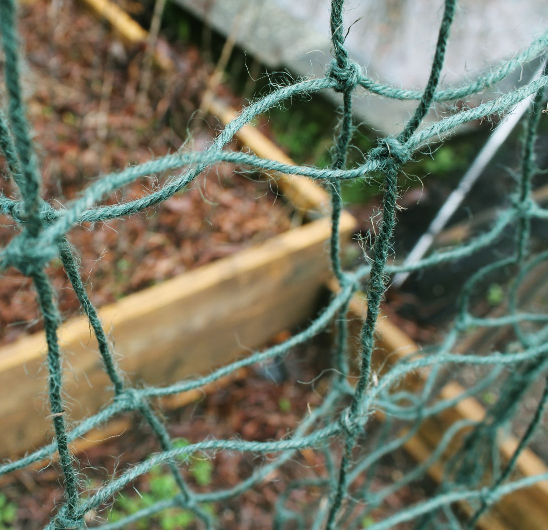 green jute netting close up in a garden