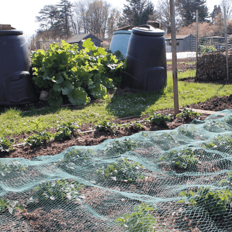 Green bird netting laid over a garden bed with young plants, with two blue compost bins