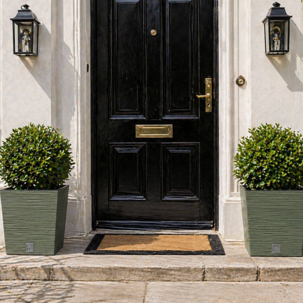 Black door with gold handle and mail slot, flanked by two green planters on a light-colored wall.