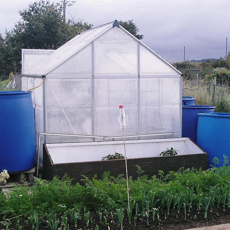 Greenhouse insulation fleece in allotment with blue barrels