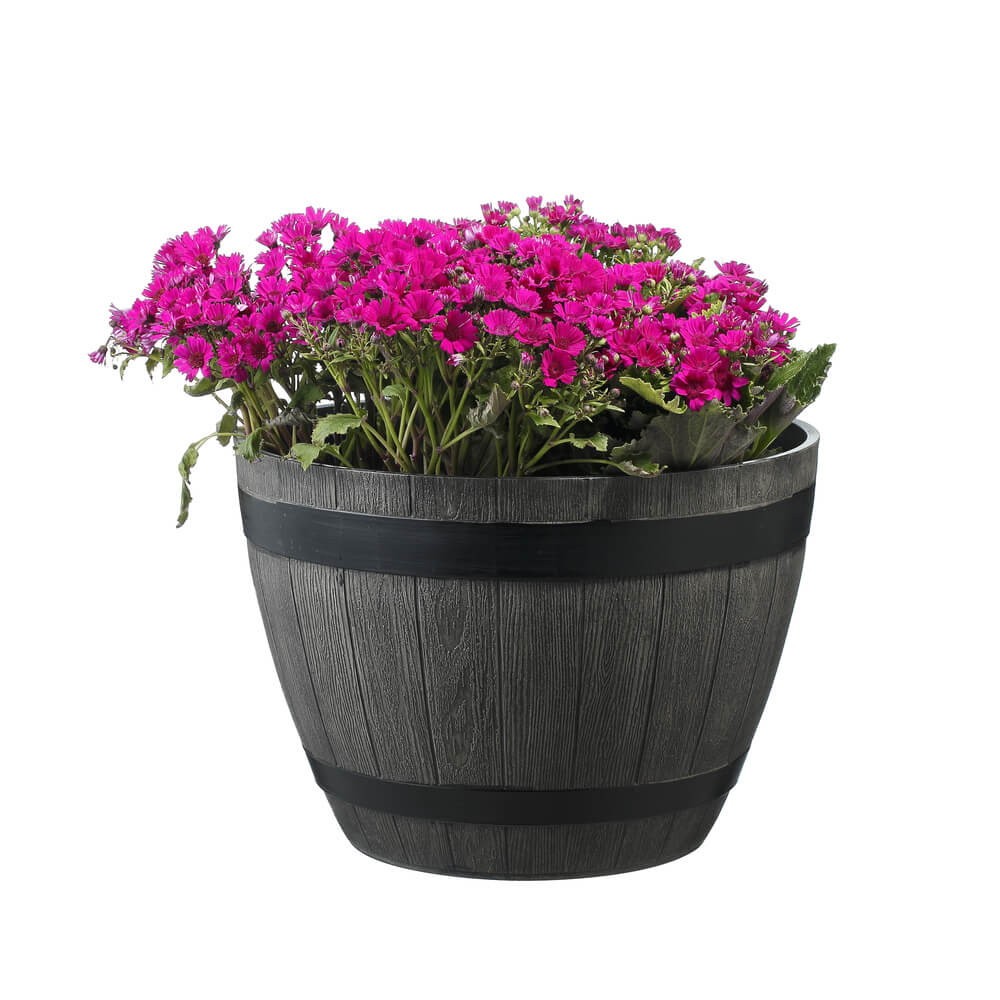 Potted plant with pink flowers in a wooden-style planter on a white background
