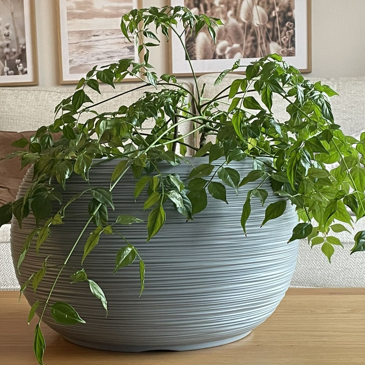 Round Plant Pot White and Grey Fora