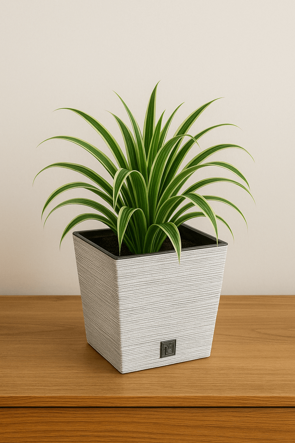 Potted plant in a decorative white planter on a wooden surface with a beige wall background