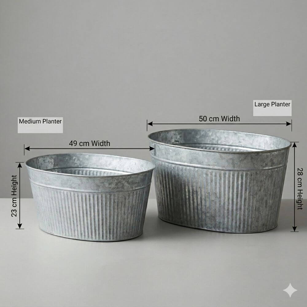 Oval Galvanised Trough – Metal Planter