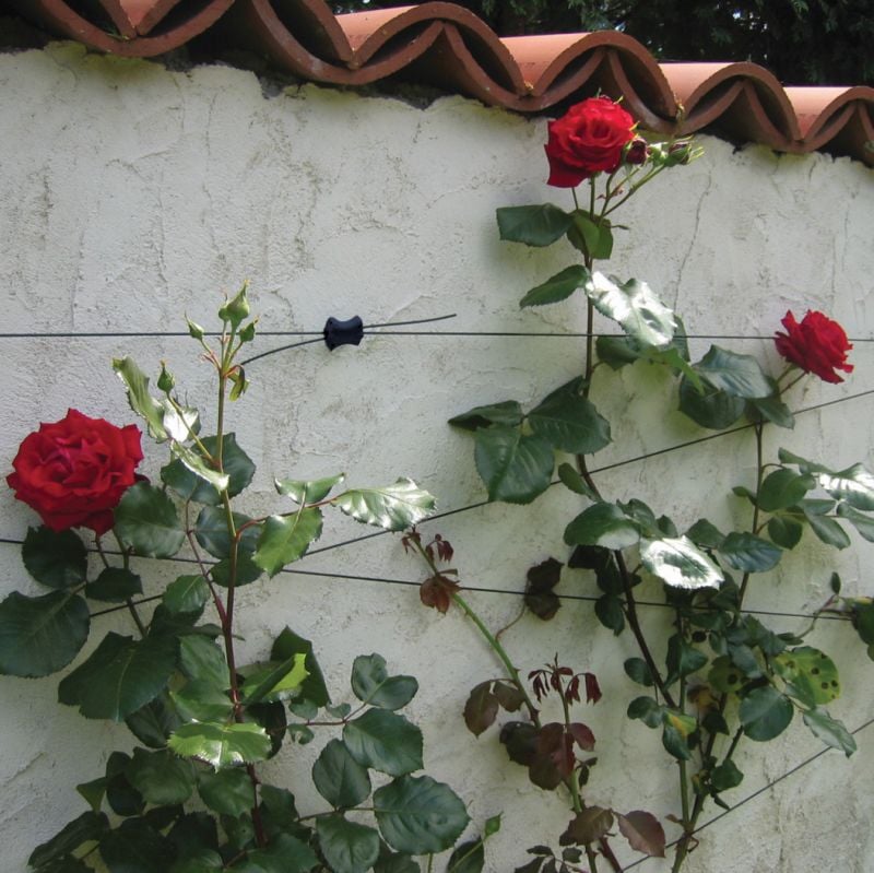 Gripple Wire in use holding plants