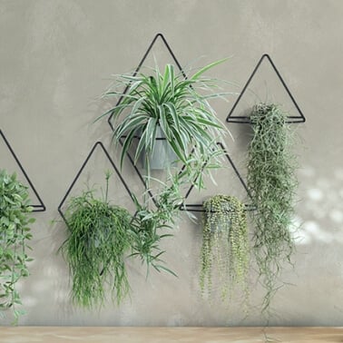 triangular wall hanging pot holders 5 with plants in them