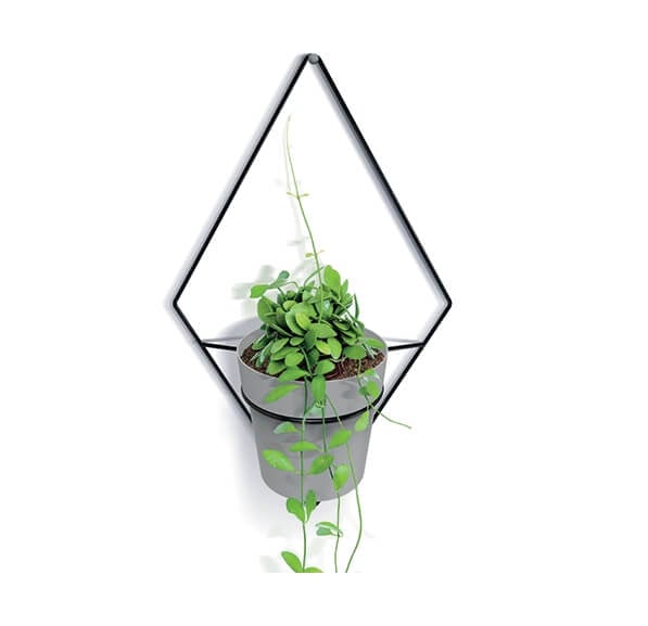 A triangular-shaped black metal hanging pot holder containing a green plant, positioned against a white wall.