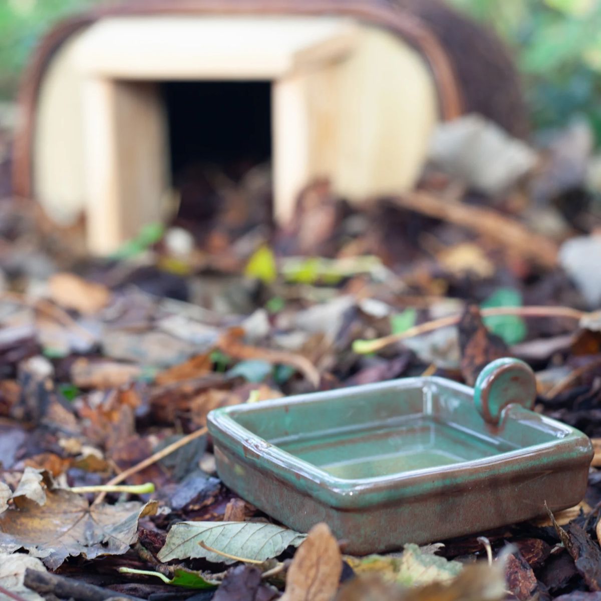 Ceramic Ceramic hedgehog bowl on leaves