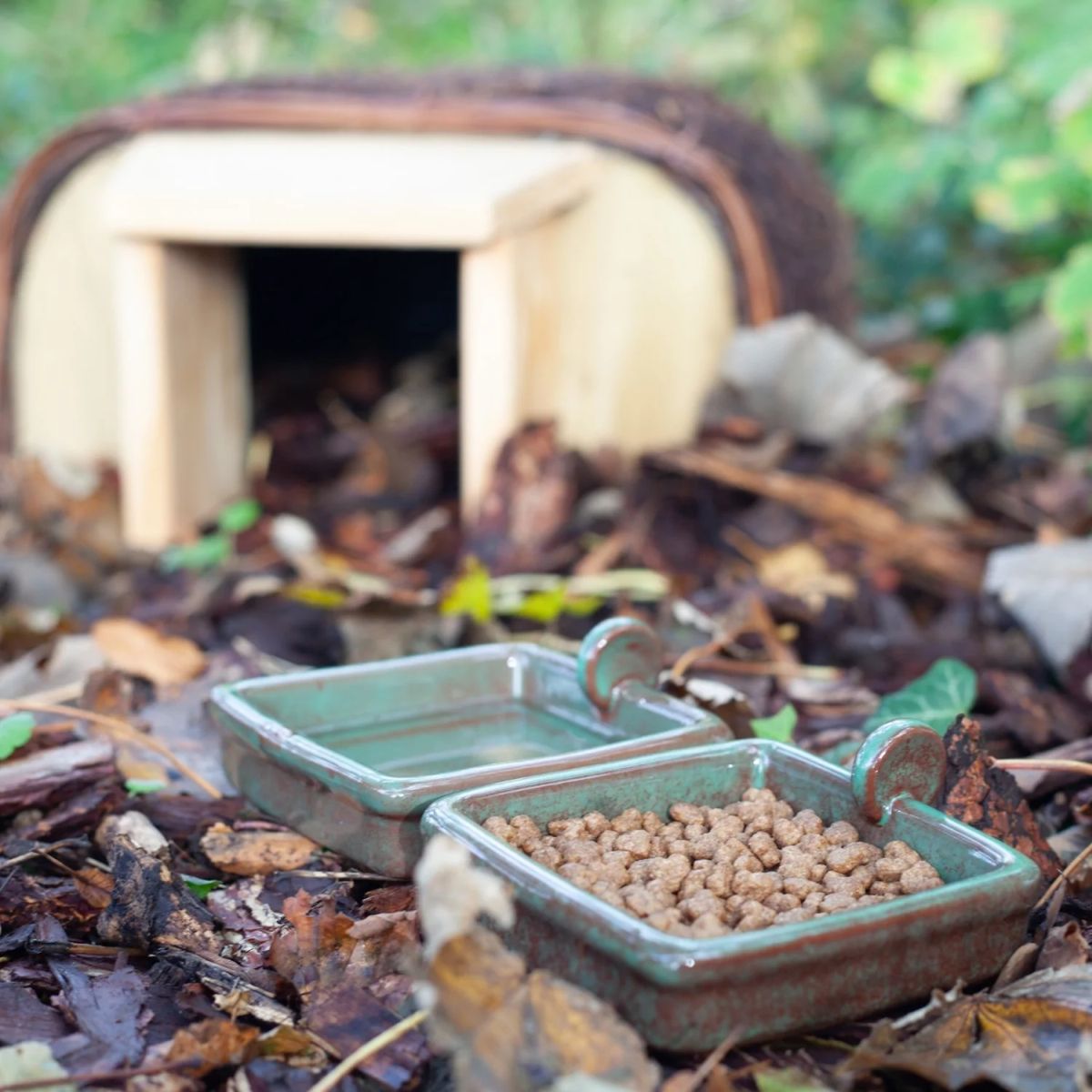 A Hedgehog bowl for water and hedgehog house