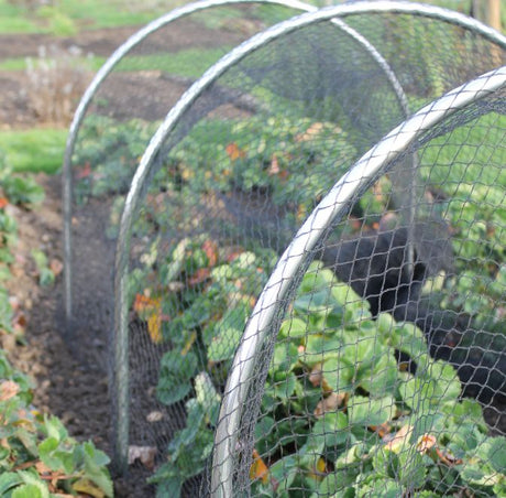 A garden hoop structure made of aluminum, with a mesh netting covering taller plants, installed on a garden bed.
