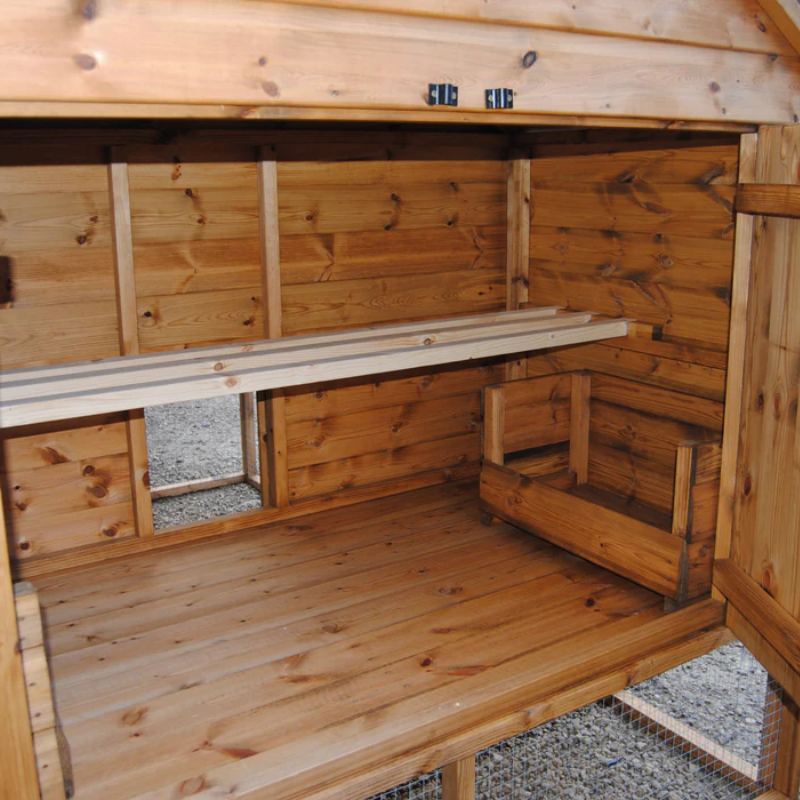 inside a chicken coup with run