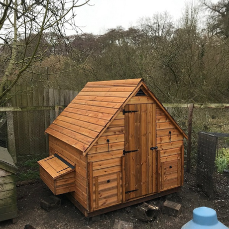 hillside chicken coop