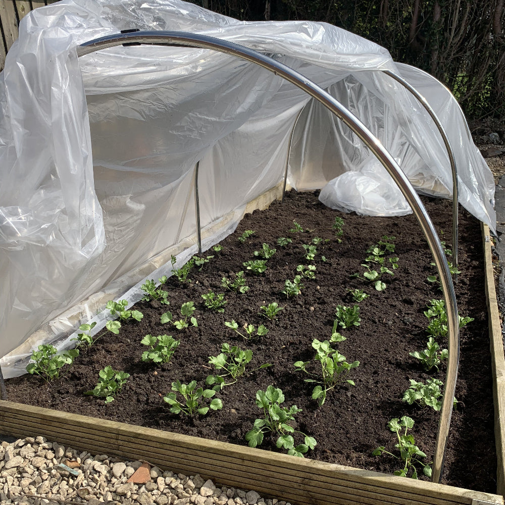 Garden hoops over a raised bed with polythene