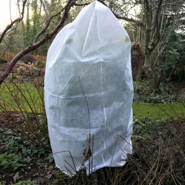 A white fleece bag covering a plant