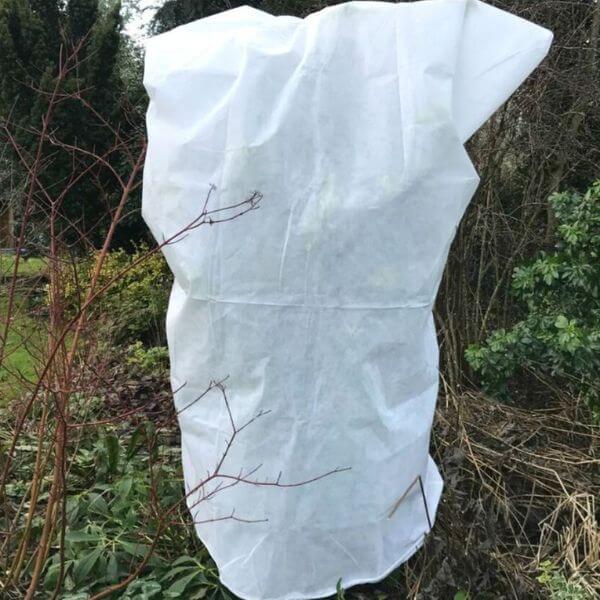 A white fleece bag covering a plant