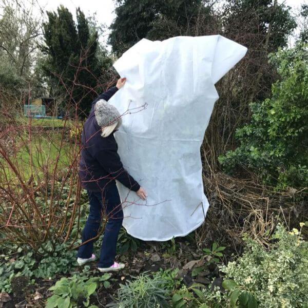 Large horticultural fleece bag over tree
