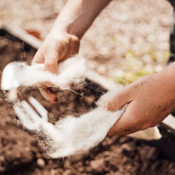 hortiwool in mans hand