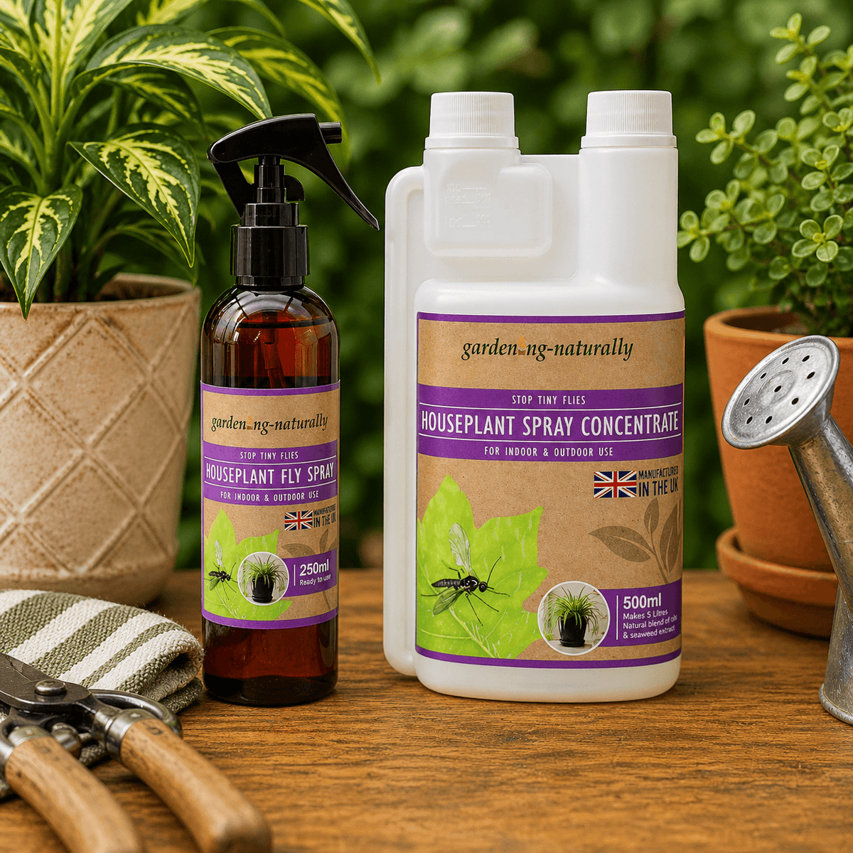 indoor plant flies spray Houseplant Fly Control Spray & Concentrate Indoor Outdoor Plants – Gardening Naturally