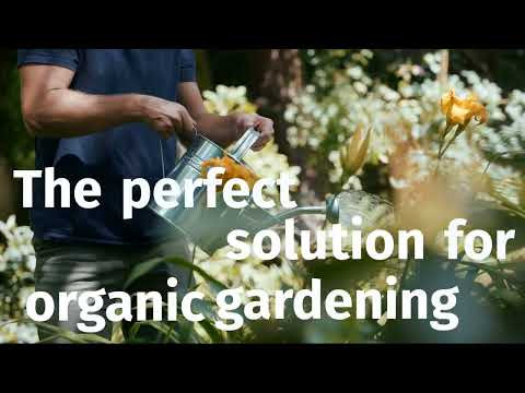 Nemaslug Slug Nematodes For Slug Control In Gardens