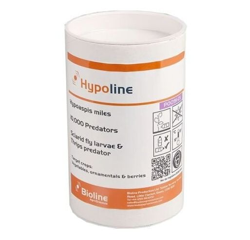 Natural Sciarid Fly Treatment Hypoline M (Hypoaspis mites)