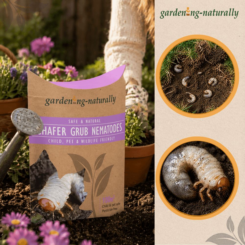 Package of chafer Grub Nematodes with images of nematodes and text 'garden naturally' on a garden background.