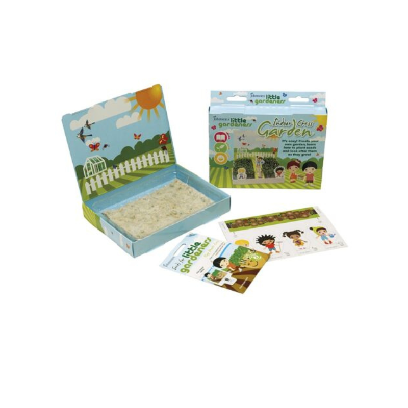 Indoor Cress garden kit