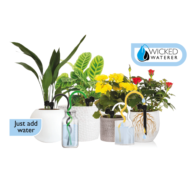 indoor houseplant watering system