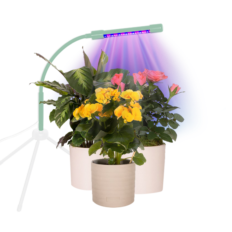 Indoor plant light over 3 pot plants