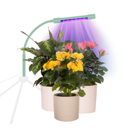 Indoor plant light over 3 pot plants