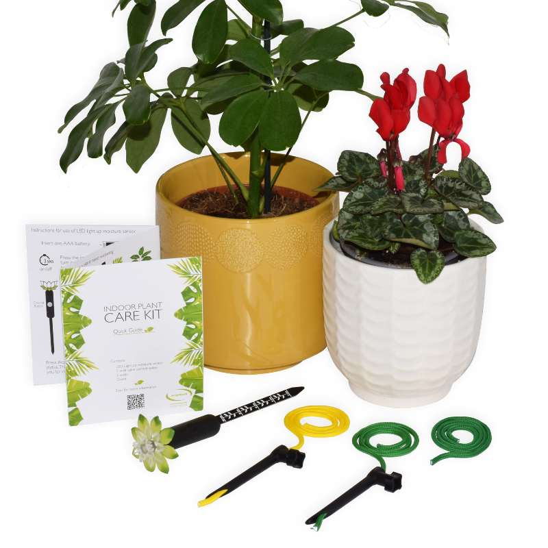 Indoor Plant Watering Kit Self Watering Setup