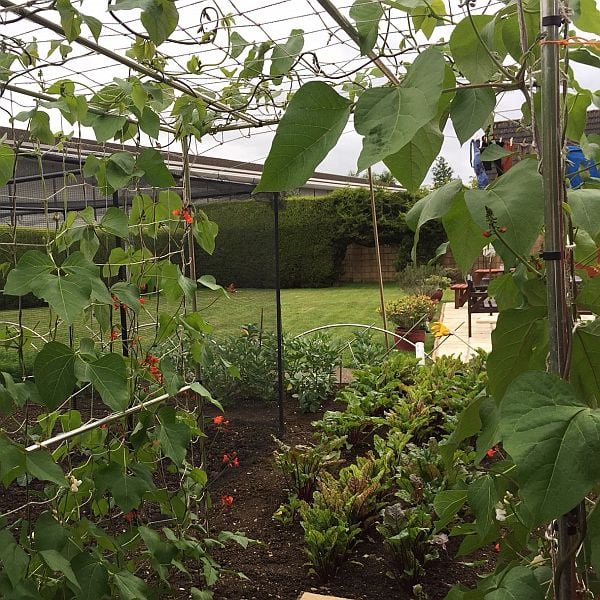 Pea And Bean Netting Natural Jute Garden Support Mesh