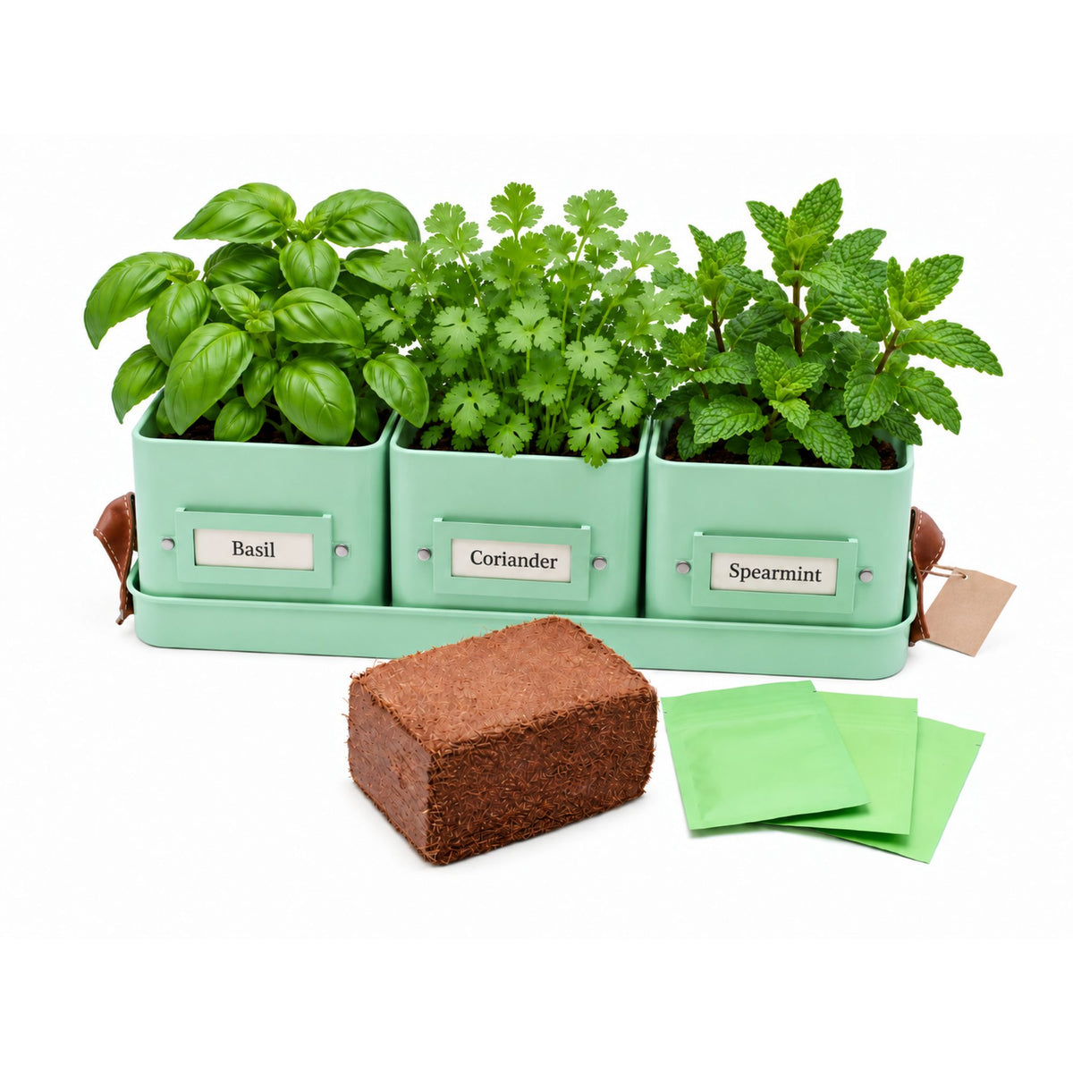 Herb or Chilli Pot sets for the Kitchen, Grey, Buttercream or Green
