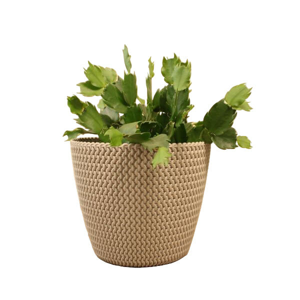 Plant Pot Knitted Effect Natural, White or Black