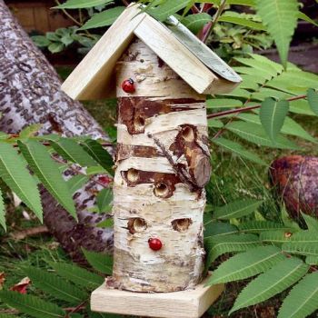 Ladybird House for Hibernating Ladybirds