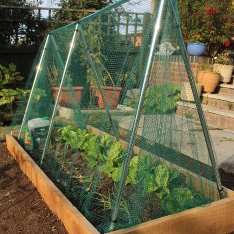 A garden tunnel frame