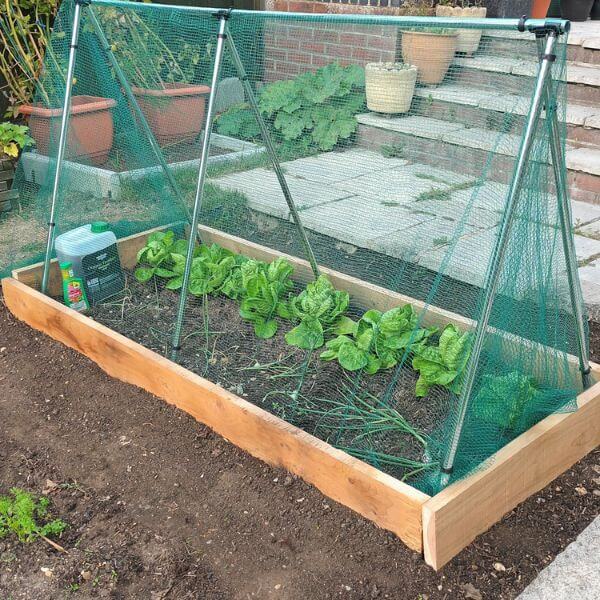 Large triangular garden cage
