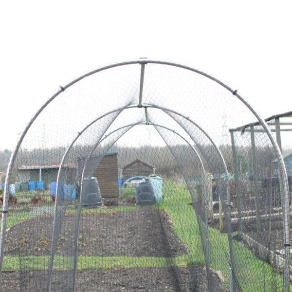 fruit cage on an allotment made with garden hoops and poles covered with bird netting