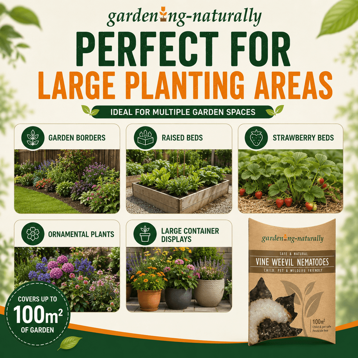 Promotional graphic for gardening-naturally Vine Weevil Nematodes, showing six garden use examples (garden borders, raised beds, strawberry beds, ornamental plants, large container displays) and the product package on a light cream background with green and orange text.
