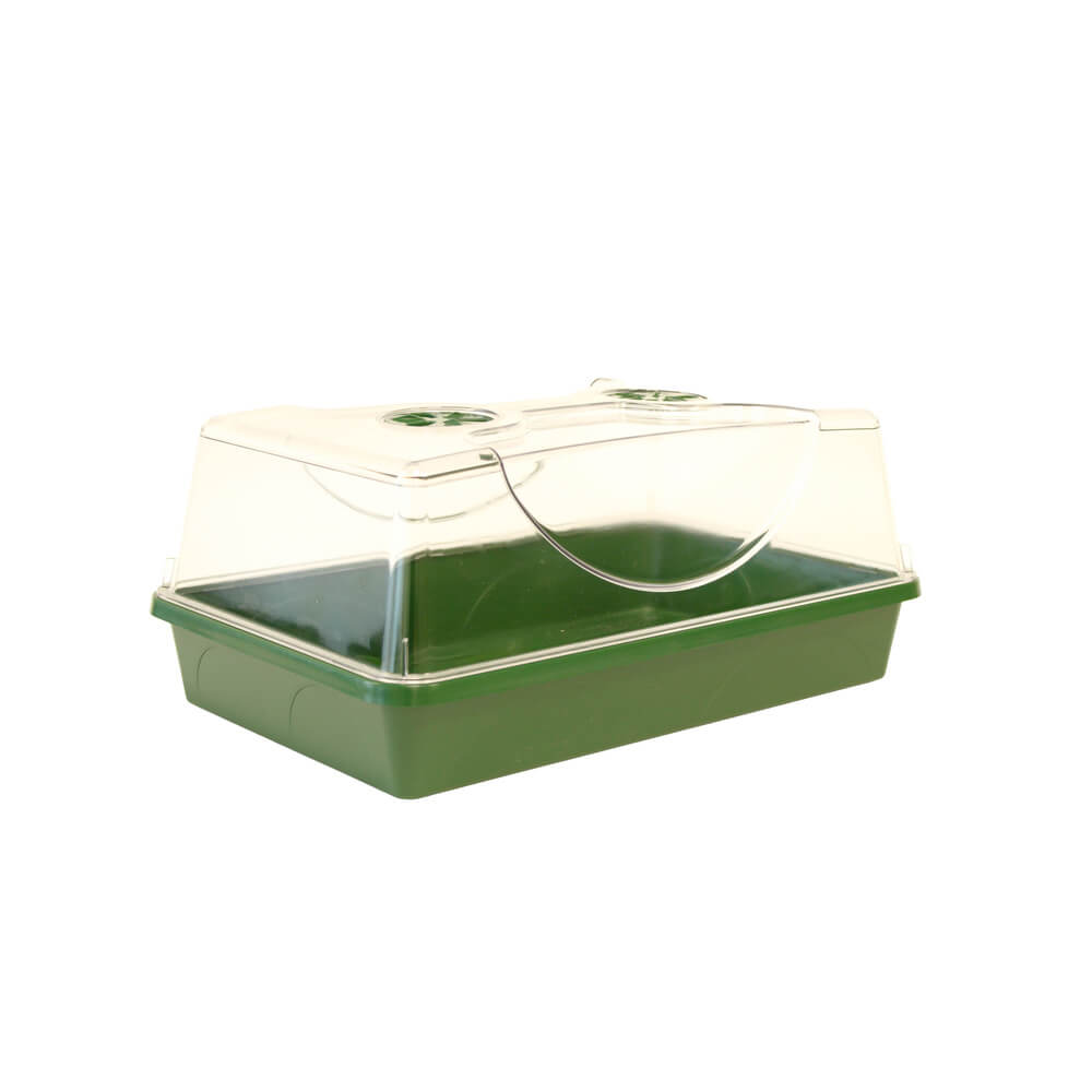 Green and transparent plastic propagator on a white background