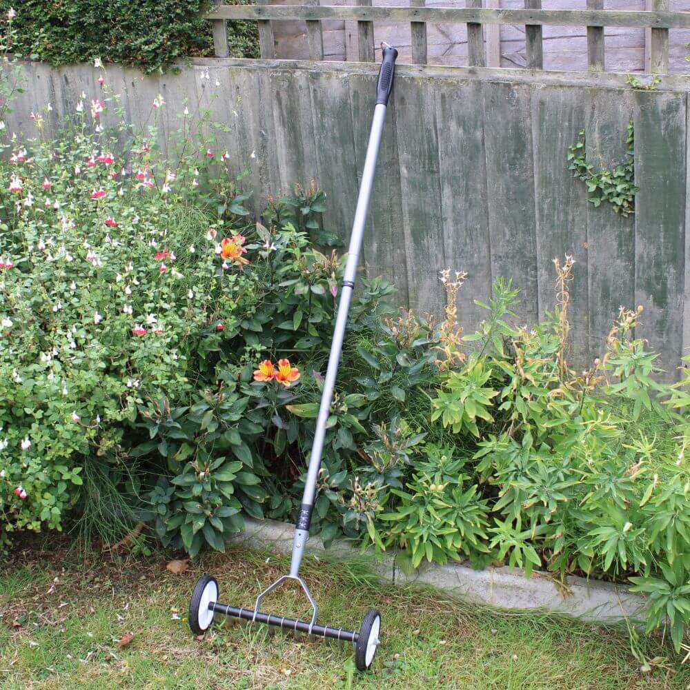 lawn scarifier in garden with plants