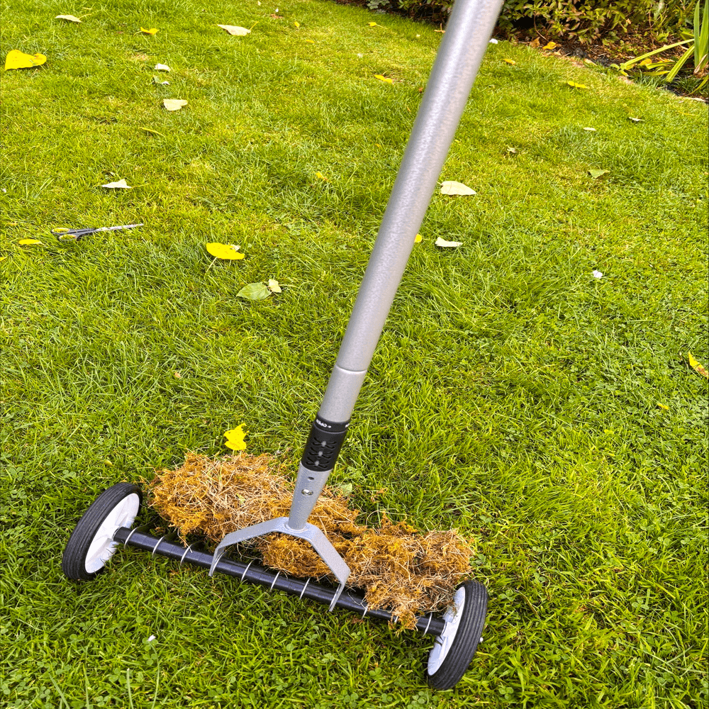 lawn scarifier to remove grass