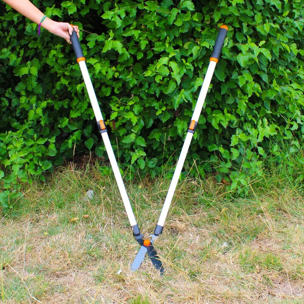 lawn shears in garden