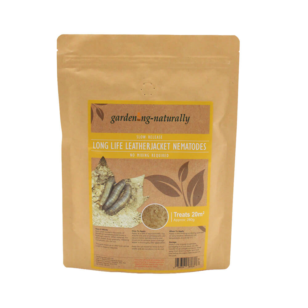 Long-life-leatherjacket-nematodes