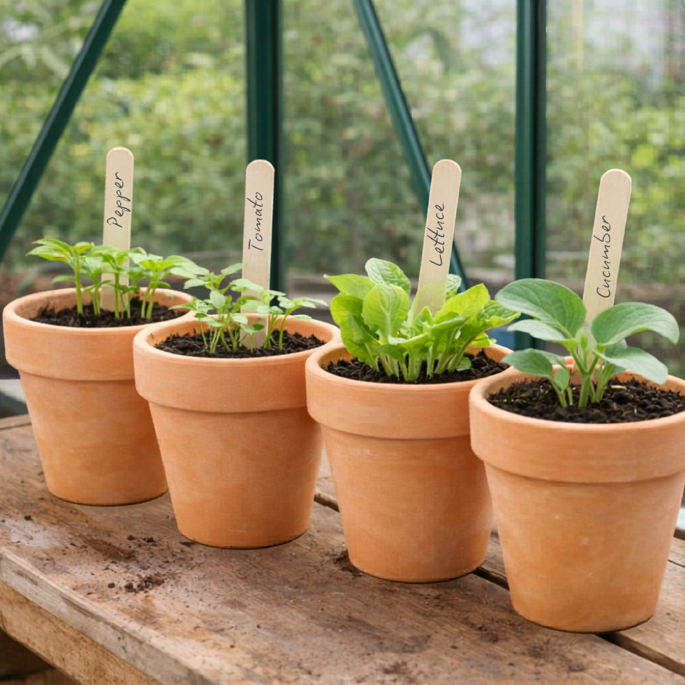 plant pots, various wooden labels
