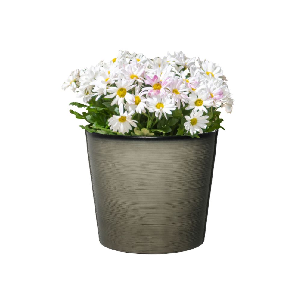Potted plant with white and pink flowers in a grey pot on a white background