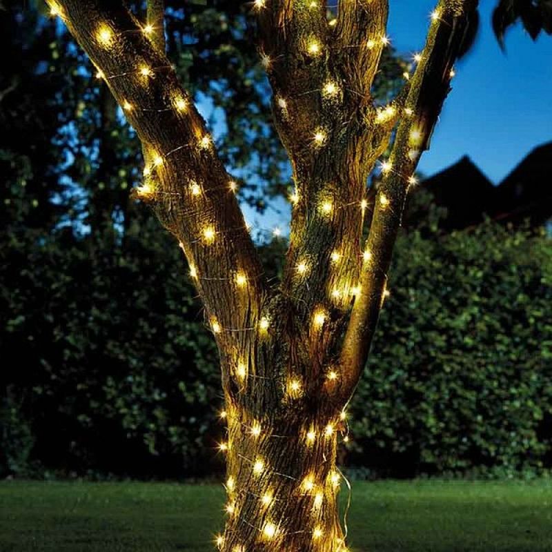solar string lights wrapped around tree and on