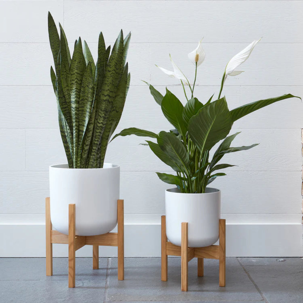 white lisbon indoor plant pots