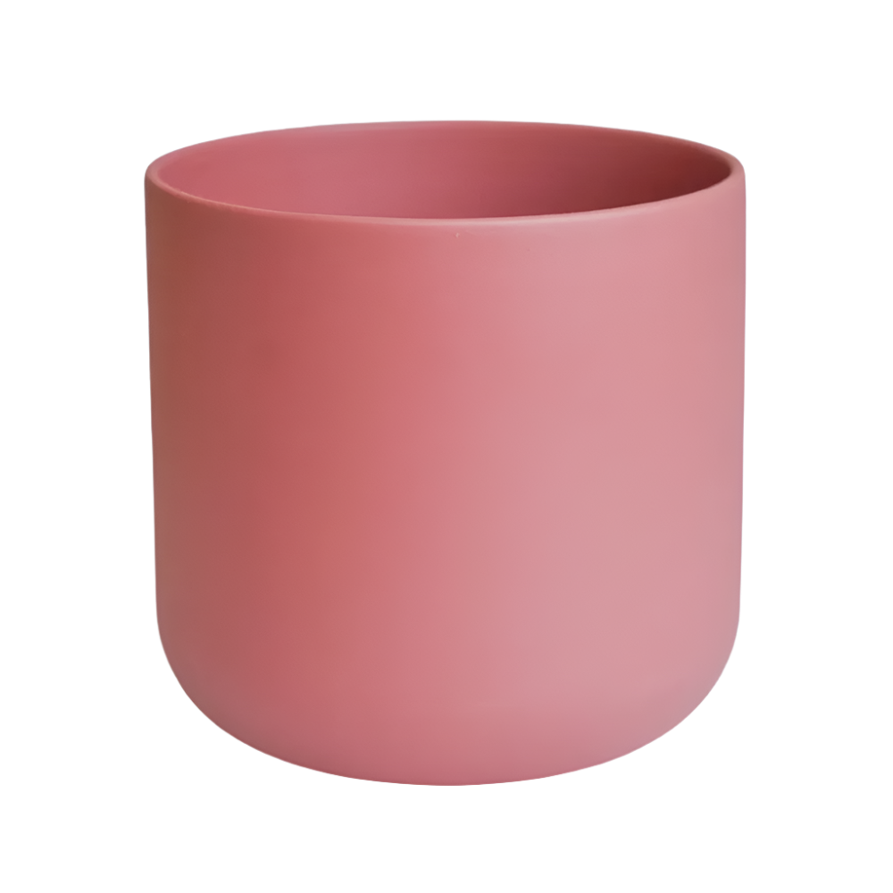 lisbon indoor planter blush rose