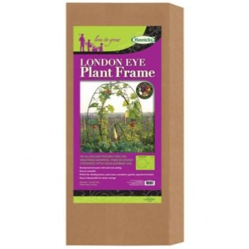 London Eye Inspired Decorative Plant Frame