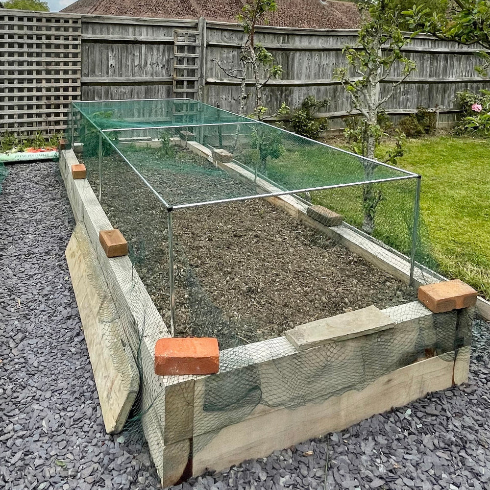 garden cage on a raised bed with green bird netting